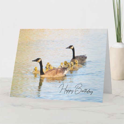 Kanadische Gänserfamilie - Geburtskarte Karte (Vorderseite)