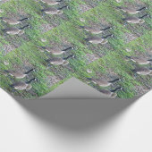 Kanadische Gänserfamilie Geschenkpapier (Ecke)