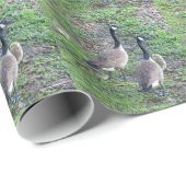 Kanadische Gänserfamilie Geschenkpapier (Rolleneckpunkt)