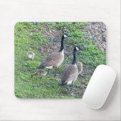 Kanadische Gänserfamilie Mousepad (Mit Mouse)