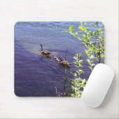 Kanadische Gänserfamilie Mousepad (Mit Mouse)