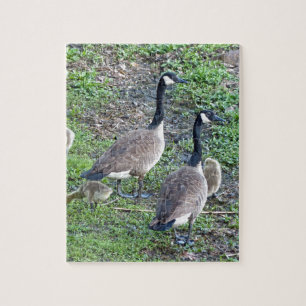 Kanadische Gänserfamilie Puzzle