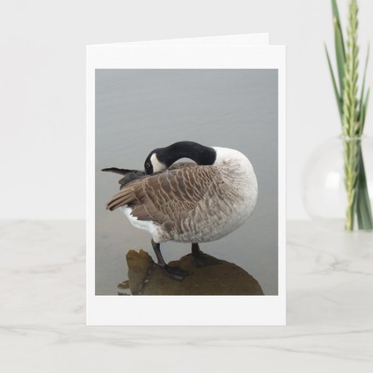 Kanadische Gänskarte Karte (Vorderseite)