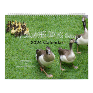 *KANADISCHE GEESE* - *KLINGS* STANDOFF 2024 KALENDER