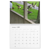 *KANADISCHE GEESE* - *KLINGS* STANDOFF 2024 KALENDER (Jan 2027)