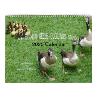 *KANADISCHE GEESE* - *KLINGS* STANDOFF 2025 KALENDER