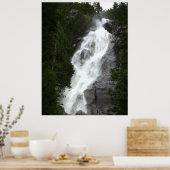 Kanadische Landschaft West Coast Forest Art Print Poster (Küche)