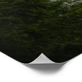 Kanadische Landschaft West Coast Forest Art Print Poster (Ecke)