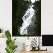 Kanadische Landschaft West Coast Forest Art Print Poster (Heimbüro)