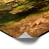 Kanadische Landschaft West Coast Forest Art Print Poster (Ecke)