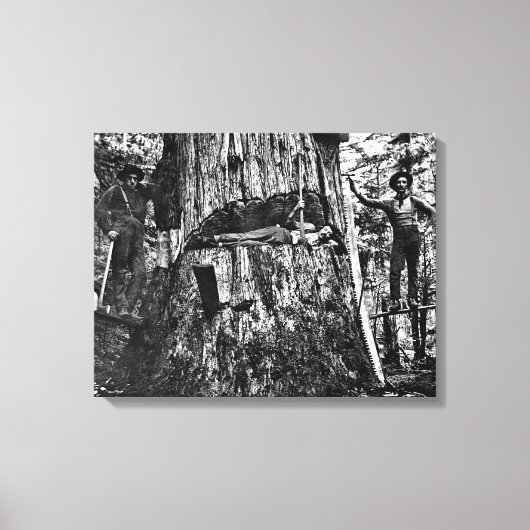 KANADISCHE LOGGERS c. 1890 Leinwanddruck (Vorderseite)