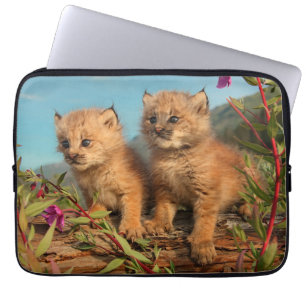 Kanadische Luchsjunge, Alaska Laptopschutzhülle