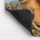 Kanadische Luchsjunge, Alaska Mousepad (Ecke)