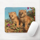 Kanadische Luchsjunge, Alaska Mousepad (Mit Mouse)