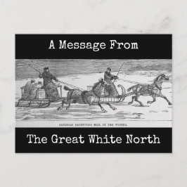 Kanadische Rückholzmast Postkarte