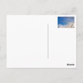 Kanadische Schneevögel Postkarte (Rückseite)