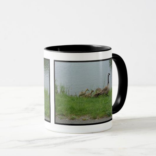 Kanadische Tasse Gänse (VorderseiteRechts)