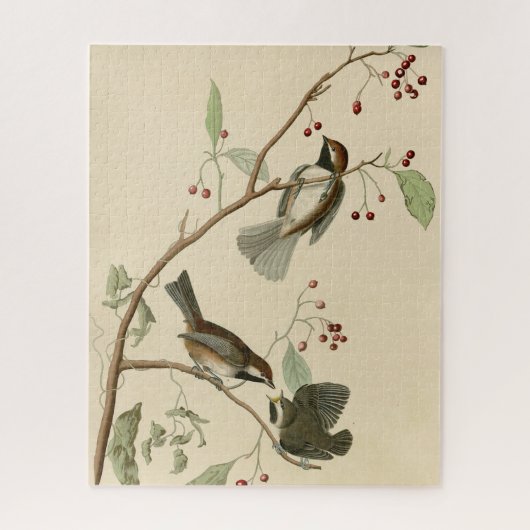 Kanadische Titmouse aus Audubons Vögeln von Amerik Puzzle (Vertikal)