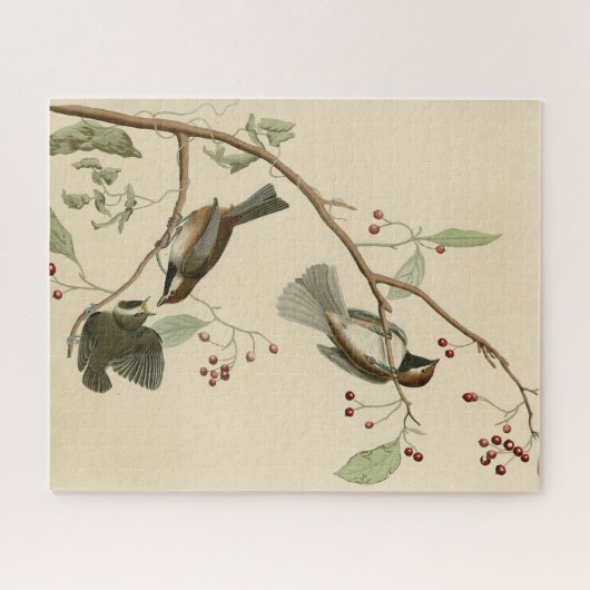 Kanadische Titmouse aus Audubons Vögeln von Amerik Puzzle (Horizontal)