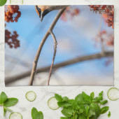 Kanadische Wildtiere: Bohemische Waxwing-Fotografi Geschirrtuch (Gefaltet)