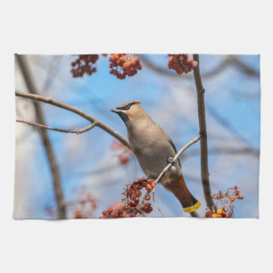 Kanadische Wildtiere: Bohemische Waxwing-Fotografi Geschirrtuch