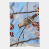 Kanadische Wildtiere: Bohemische Waxwing-Fotografi Geschirrtuch (Vertikal)