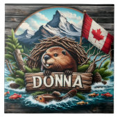 Kanadischer Biber in der Nähe des Sees mit felsige Fliese (Vorderseite)