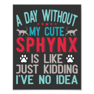 Kanadischer Frisör Sphynx Cat Owner Funny Sprichwo Fotodruck