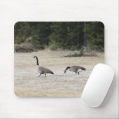 Kanadischer Gänse Mouse Pad Mousepad (Mit Mouse)