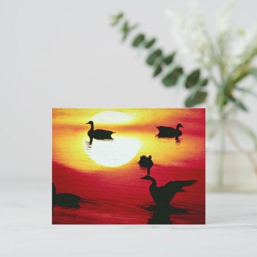 Kanadischer Gänse Postkarte (Stehend Vorderseite)