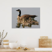 Kanadischer Gänsegäner Poster (Küche)