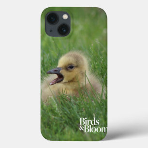 Kanadischer Gänsehick Case-Mate iPhone Hülle