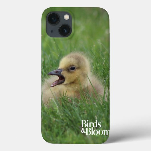 Kanadischer Gänsehick Case-Mate iPhone Hülle (Rückseite)