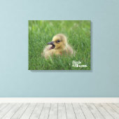 Kanadischer Gänsehick Leinwanddruck (Insitu (Holzboden))