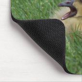 Kanadischer Gänsehick Mousepad (Ecke)