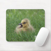 Kanadischer Gänsehick Mousepad (Mit Mouse)
