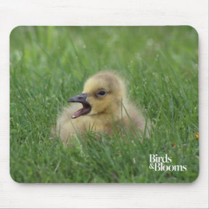 Kanadischer Gänsehick Mousepad