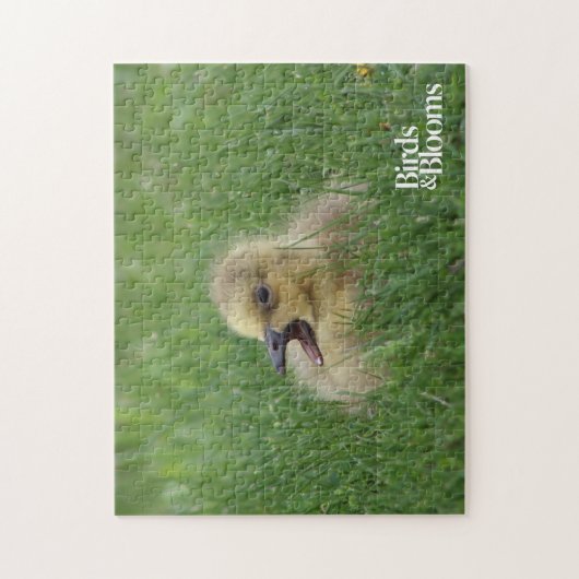 Kanadischer Gänsehick Puzzle (Vertikal)