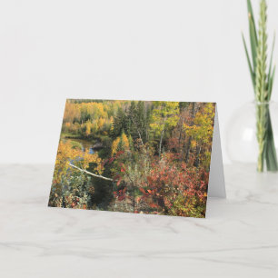 kanadischer Herbst Feiertagskarte