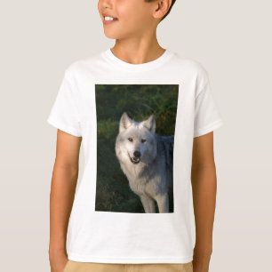 Kanadischer Holzwolf Kids Teemaschine T-Shirt