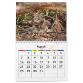 Kanadischer Luchs 4200e, kanadischer Luchs Kalender (Mär 2027)