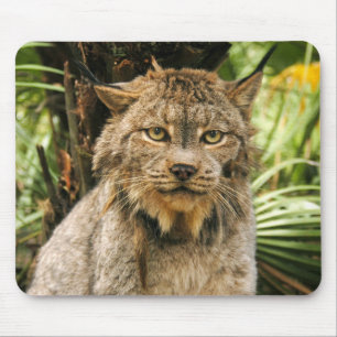Kanadischer Luchs 4200e Mousepad
