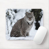 Kanadischer Luchs im Schnee Mousepad (Mit Mouse)
