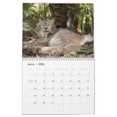 Kanadischer Luchs-Kalender, kanadischer Luchs Kalender (Mär 2026)