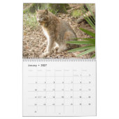 Kanadischer Luchs-Kalender, kanadischer Luchs Kalender (Jan 2027)