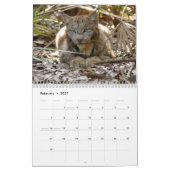 Kanadischer Luchs-Kalender, kanadischer Luchs Kalender (Feb 2027)
