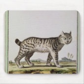 Kanadischer Luchs Mousepad (Vorne)