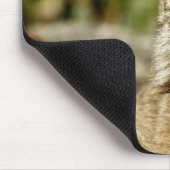 Kanadischer Luchs Mousepad (Ecke)