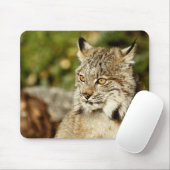 Kanadischer Luchs Mousepad (Mit Mouse)
