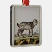 Kanadischer Luchs Ornament Aus Metall (Rechts)